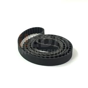 Correia da Sanfona do Tanque